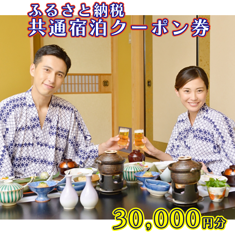 AX010　ふるさと納税共通宿泊クーポン券30,000円分